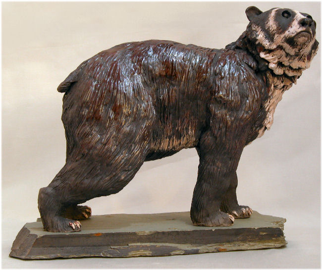Spectacled Bear