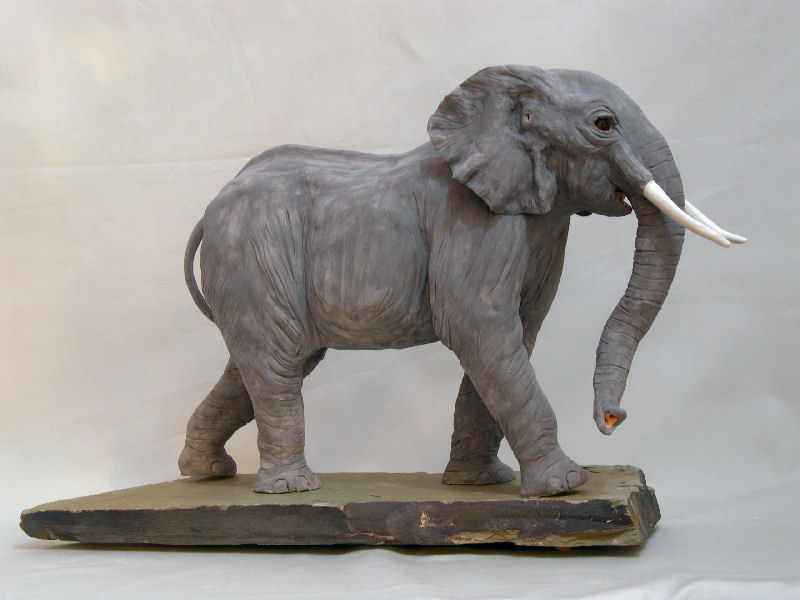 Elephants