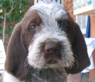 Babio as a baby. Cute, or what?