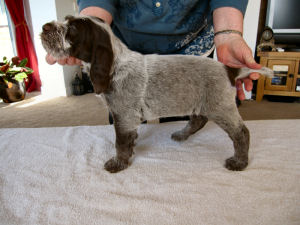 Cicely (Week 6)