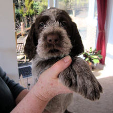 Cicely (Week 6)