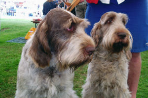 Otter's Dad, Fergus, and Auntie Cuba