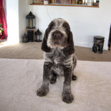Flossie (Week 6)