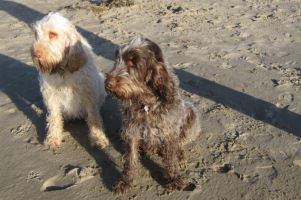 Me and Zeta