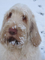 Good stuff, snow.